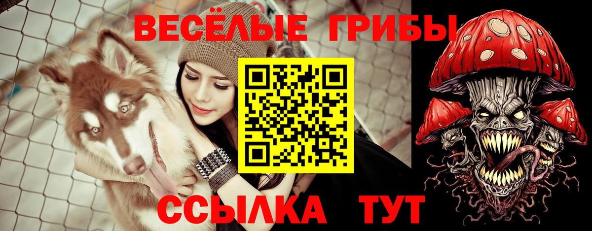 Котельники  Псилоцибиновые грибы Cubensis  Вход с VPN 
